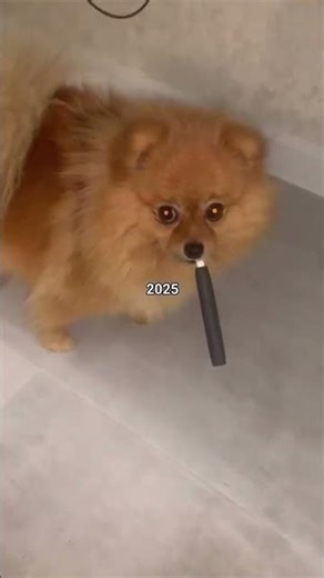 Here is a video summary of my 2025​#2025Recap #YearInReview #2025Highlights #My2025 #Grateful #2025