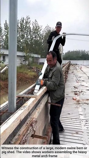 Building a Modern Pig Barn Frame 🐖🏗️