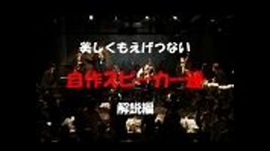 ♪美しくもえげつない、自作スピーカー達♪-解説編-