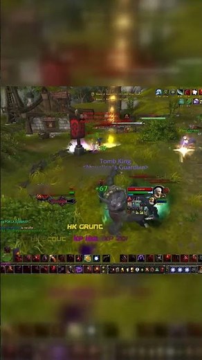 Bloodmage AOE DMG make your rotation ascension COA!