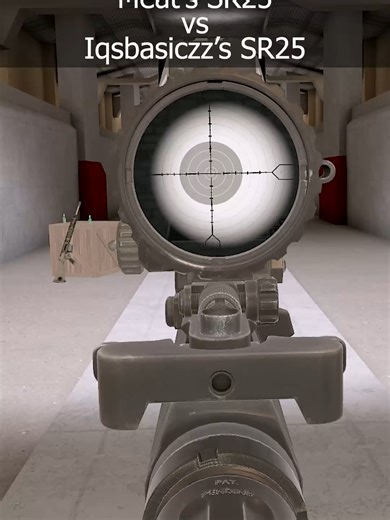 SR25 Comparison in H3VR: A Detailed Look
