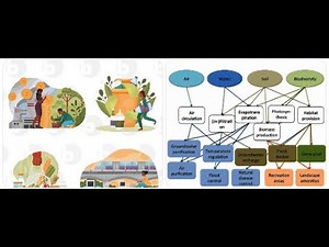 “Scared of EVS? This ONE Video Covers Unit-1 Completely!"