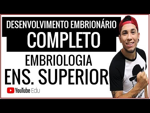 AULÃO: DESENVOLVIMENTO EMBRIONÁRIO COMPLETO - DA 1º A 8º SEMANA - P/ ENSINO SUPERIOR