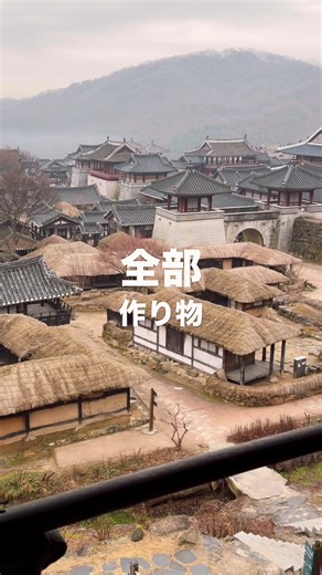 韓国の歴史ドラマの撮影所「龍仁大長今パーク」を正直レビュー！ #龍仁大長今パーク #韓国ドラマ #韓国旅行 #聖地巡礼