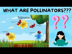 what are pollinators?