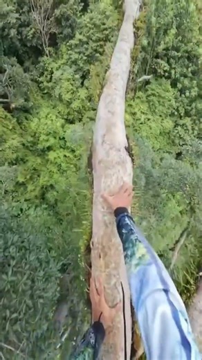 dangerous climb #shortvideo #global #danger #viral