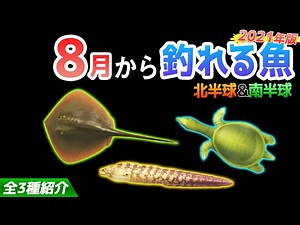 【あつ森】8月から釣れる魚を全て紹介！魚影や出現時間・場所・値段・釣り方のコツも解説！エイやスッポンやウツボなどレアな魚が登場！【あつまれどうぶつの森 8月の魚図鑑コンプリート】