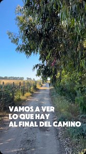 Recondito Lodge on Instagram: "Este pedazo de Paraíso esta a tan sólo 3hrs de Santiago. Pichilemu, no sólo te ofrece hermosos parajes como el nuestro, sino que también una nutrida oferta culinaria y cultural. Deliciosos restaurantes frente al mar, ferias, exposiciones y festivales forman parte de la cartelera de nuestra pintoresca localidad. La capital Mundial del Surf te espera con los brazos abiertos!!"