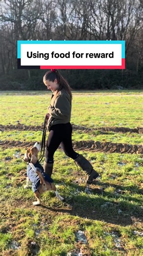 Thursdays food for thought 🐶#dogtraining #doggydaycare #dogtrainer #obediencetraining #puppytraining