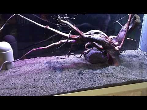 Eheim Vivaline 240 LED