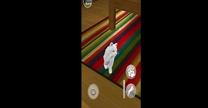 Download & Play Talking Cute Cat on PC & Mac (Emulator)