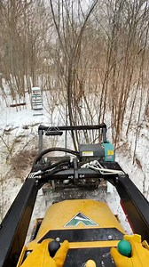 346K views · 2.1K reactions | Tell me this doesn’t look like a Stranger Things forest scene. #strangerthings | Outdoors with Erik | Facebook