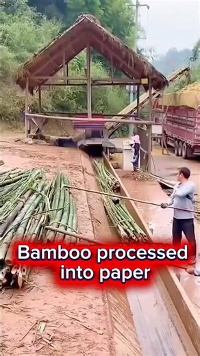 Bamboo to Paper Magic 🌿📄 #Papermaking #BambooCraft #shorts