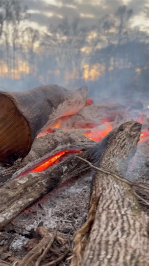 It’s always good to get some brush piles cleaned up. #burning #fire #bonfire