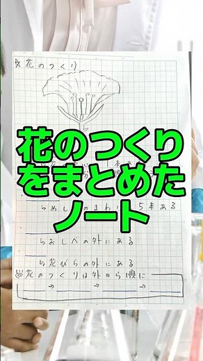【自学ネタ】花のつくりをまとめた自学ノート