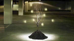 Reading DNA with silicon—or via the glow of fireflies