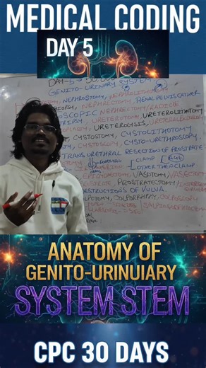 Medcode MC on Instagram: "50000-CPT SERIES URINARY AND REPRODUCTIVE #medicalcoding ##CPCExamPrep #cpcexam #medical"