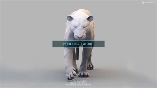 MAYA 2020 -  WHAT'S ACTUALLY NEW-究竟有哪些新功能？？