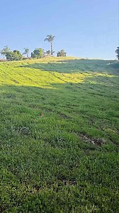 Farm Experiment🌿 - Any Tips❓ #natural #ecofriendly #organic #farm #farmlife #growwithme #backtonature #bergman #drjohnbergman | Dr John Bergman D.C.
