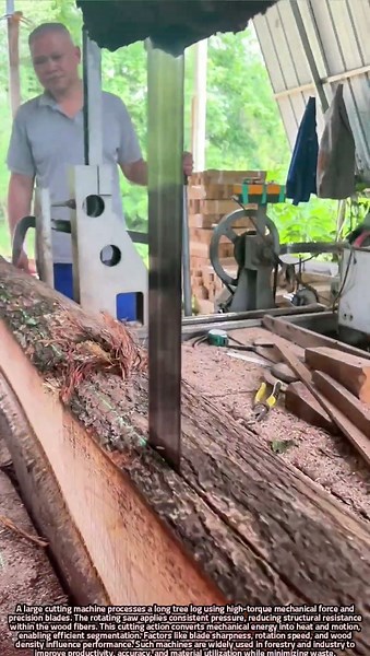 Scientific Principles Behind Cutting Large Tree Logs with Industrial Machines