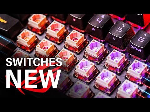 These New ROG Switches Change EVERYTHING!