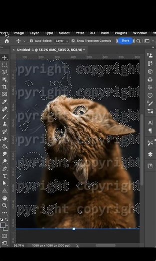 Photoshop tricks and tutorials- Watermark before and after.#graphicdesign #designwithai #photoshopai