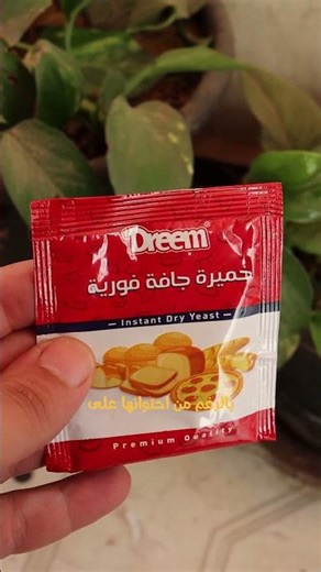 Beware of yeast for your houseplants