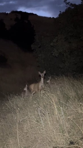 @outdoorempirecom with the Range 500 test and approval 👍 | BioLite