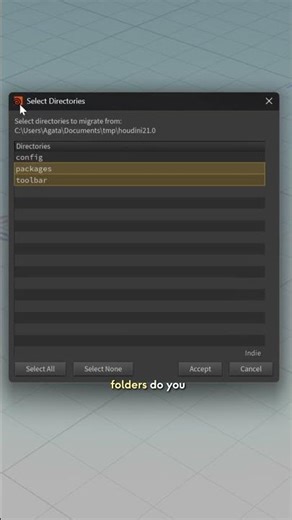 Easily copy your Houdini preferences with dy Install Libs 1.2!