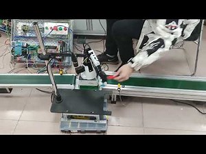 Robotic Sorting System based on Computer Vision and TRIO