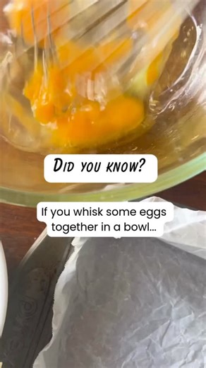 One Handed Cooks on Instagram: "Making lunchboxes both easy and nutritious has been the vibe ✌🏻 And this recipe is leading the charge for anyone prepping bolognese this weekend! Repurpose those leftovers by combining them with pasta, eggs, and cheese. Spread it in a baking dish, pop it in the oven, and voilà! Hot or cold, it’s a satisfying meal or snack that’s simple to eat. Plus, it’s packed with protein and iron to keep those bellies full. Want more lunchbox ideas? Check out our full Lunchbox