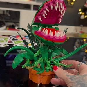 Lydia Grace on Instagram: "yeah yeah yeah"