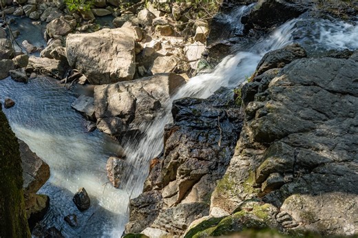 Living in the Angwin Neighborhood of Saint Helena, CA