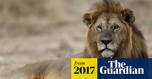 Earth already in midst of sixth mass extinction, scientists say – video report