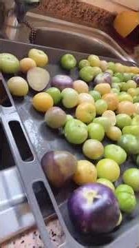 How to Make Authentic Mexican Salsa Verde! 🍅🇲🇽