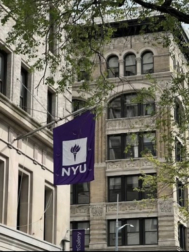 Exploring New York University's Academic Excellence
