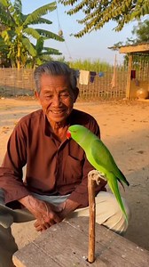 1.3M views · 10K reactions | Đúng là vợ đẹp giờ phải canh chừng mà, Vẹt nói quá đúng luôn #viral #haihuoc #parrot #daoly | Góc Nhỏ Của Đậu | Facebook