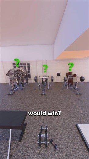 Which Animal Bench Press The Most?💪