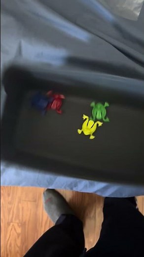 The Wiggles All The Directions Part 1 Lost Street Fast Toys