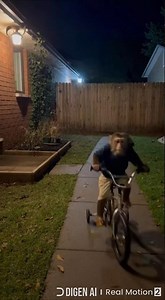 Riding bicycle 🤣 #ai #video #shorts #bicycle #monkey #funny