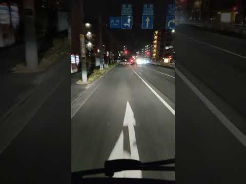 女子運転手の夜間走行。静かなコクピットからの景色