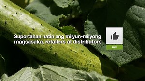 430K views · 2.6K reactions | Huwag nating kalimutan ang ating mga farmers, supply chain, retailers, distributors at ang ating mga kasamahan sa trabaho at industriya na patuloy na nagsusumikap magtrabaho, araw man o gabi, para masiguro na mayroon tayong pagkain sa ating hapag-kainan, lalo na sa mga panahong ito na maraming mga pagsubok sa ating buhay. LET’S STAY STRONG TOGETHER! #StaySafe #StrongTogether #ThankYou #Farming | BASF Agricultural Solutions | Facebook