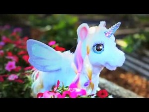 Starlily Australia Teaser 5