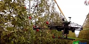 Good News Israel! Israeli Tech Turns Curses Into Blessings, Growing Diamonds From Methane, and More! | United with Israel