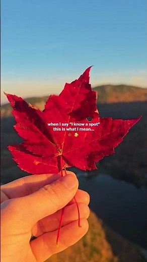 The Most Beautiful Autumn Hike In New England?! 🍁😍❤️