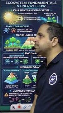 Ecosystem in 3 Minutes 🌿 | Class 12 Biology Revision #biology #neet #aspirevertex