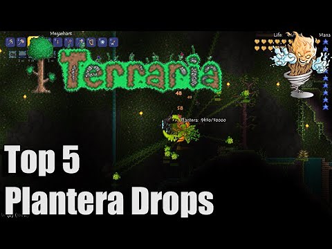 Terraria Top 5 Plantera Drops | Terraria Countdown