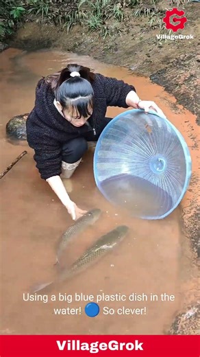 Catching Fish by Hand: Woman Uses Unique Trap in Forest Stream