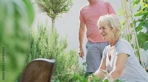 Smiling retired senior couple kneeling and working in the garden at home digging and pruning plants - shot in slow motion