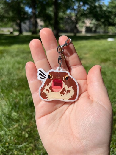 Angry Rain Frog Acrylic Keychain | Funny Animal Lover Gift - Etsy